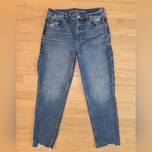 American Eagle Strigid Mom Jeans